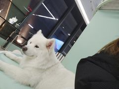 -怪兽屋·羊驼·猫咖·狗咖(俊华广场店)