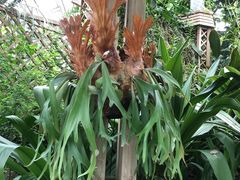 -华南国家植物园-售票处