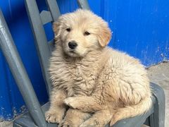 -乐宠宠物店(世纪金源店)