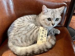 -老吴咖啡( 国贸商住大厦店)