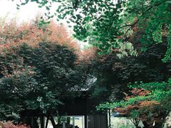 -桐乡植物园