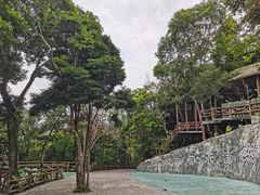 -海南槟榔谷黎苗文化旅游区