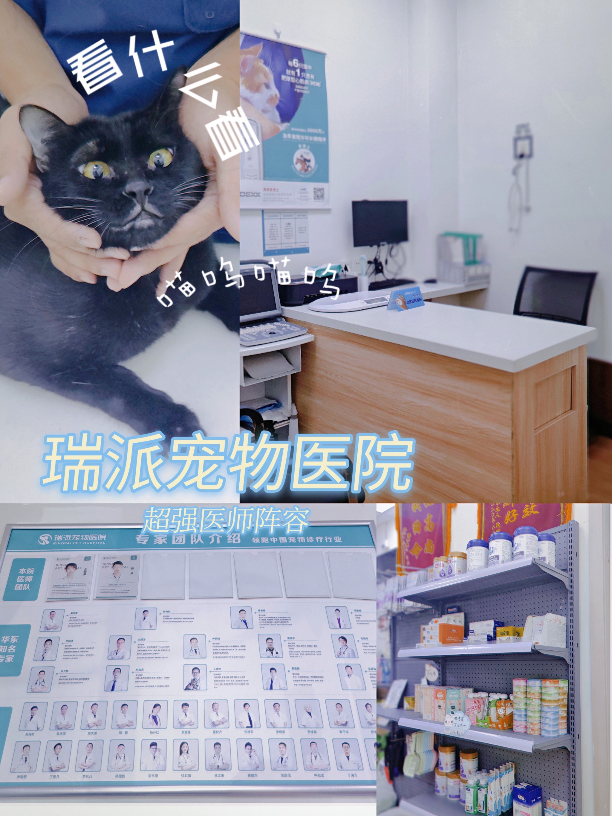 包含中日友好医院、东城区贩子联系方式《提前预约很靠谱》的词条