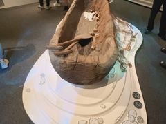 -香港科学馆