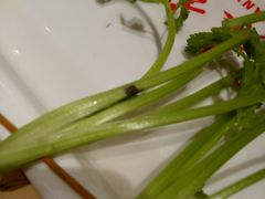 -袁记串串香(梁家巷店)