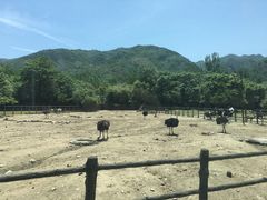 -西安秦岭野生动物园