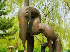 -莫子山公园
