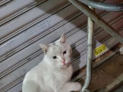 -甜甜屋(解放中路店)