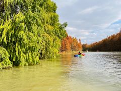 -上海海湾国家森林公园