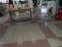 -中国联通(纬二路营业厅)