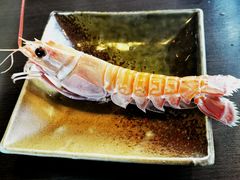 莫桑比克大虾-万岛日本料理铁板烧(万泰国际店)