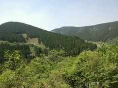 android_upload_pic-龙洞风景区-藏龙涧