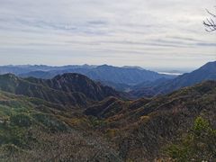 -大岭沟猕猴桃谷风景区