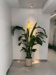-魔型社烫染店