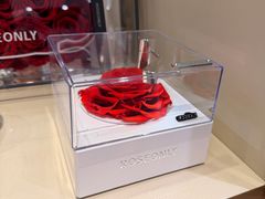 -ROSEONLY诺誓(磐基中心店)