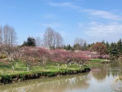 -上海海湾国家森林公园