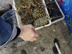 -岳各庄批发市场(西四环中路店)