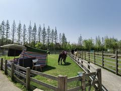 -前小桔亲子创意农场·草莓采摘·露营烧烤