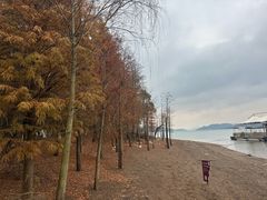 -天目湖山水园