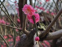 -堤角公园