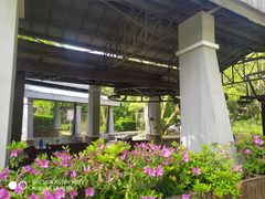 -WeLope紫金山探险公园