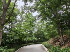 -青岛海滨风景区