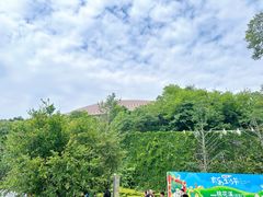 -牛首山文化旅游区