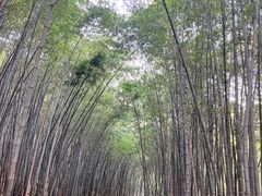 -穹窿山景区