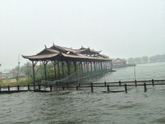 iphone_upload_pic-白洋淀景区