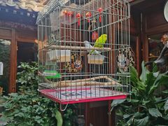 -束河人家(南锣鼓巷店)