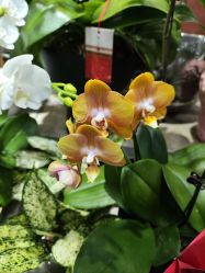 -今日陶艺(富力广场店)