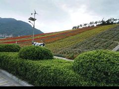 -东部华侨城