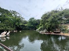 -昆明动物园
