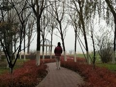 -东戴河风景区-止锚湾