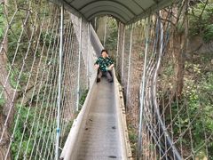 -连云港云龙涧原生态风景区