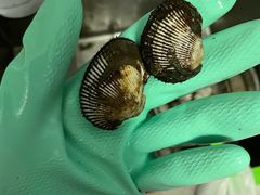 -盒马鲜生(红莲店)