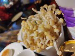 野生金针菇-矮板凳老火锅(宽窄巷子店)