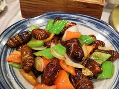 -渔娘渔家丹东海鲜(东直门店)