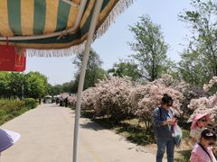 -永定河休闲森林公园