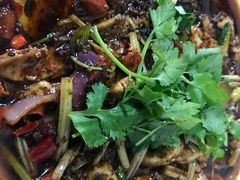 -小杨翘脚牛肉