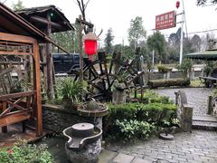 -青城甲(青城山店)