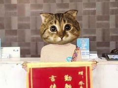 -乔森驾校(杨家坪总校)