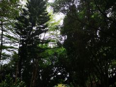 -深圳国际园林花卉博览园