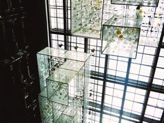 -行者书屋大堂吧 ·下午茶(南京圣和府邸酒店)