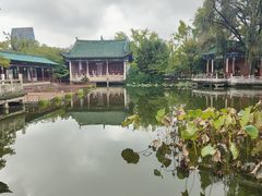 -翠湖公园