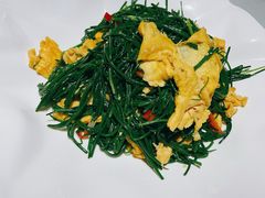 沙葱炒鸡蛋-阿西娅食府(中关村店)