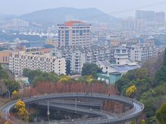 -福道