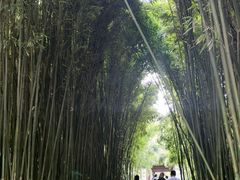 -采石矶-马鞍山太白楼
