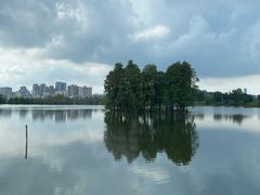 -东湖食堂·湖景餐厅•会议