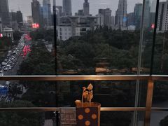 -小大董·烤鸭(观景餐厅·南京西路店)